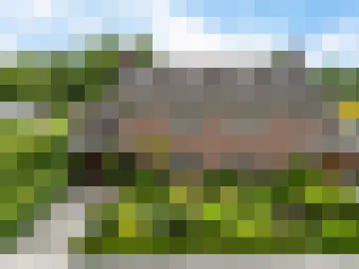Verlengde Vaart ZZ 92 B Erica thumbnail 47
