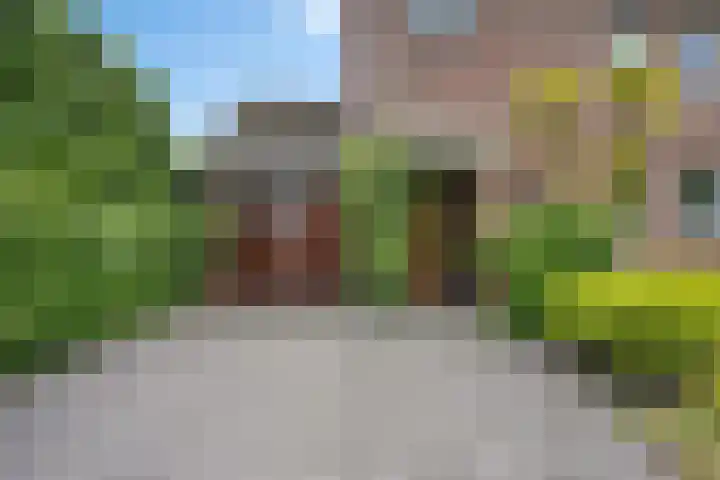 Verlengde Vaart ZZ 92 B Erica thumbnail 50