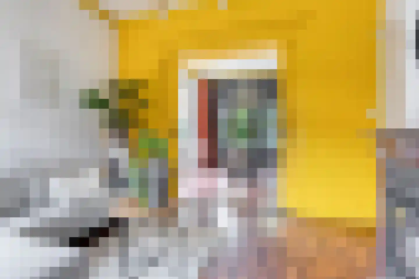 Verlengde van Beresteijnstraat 9 Veendam thumbnail 18