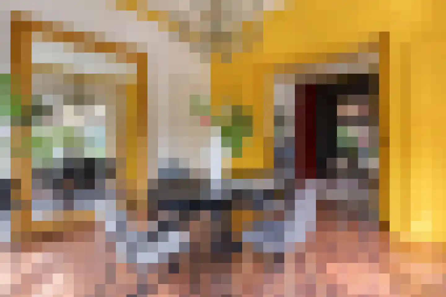 Verlengde van Beresteijnstraat 9 Veendam thumbnail 21