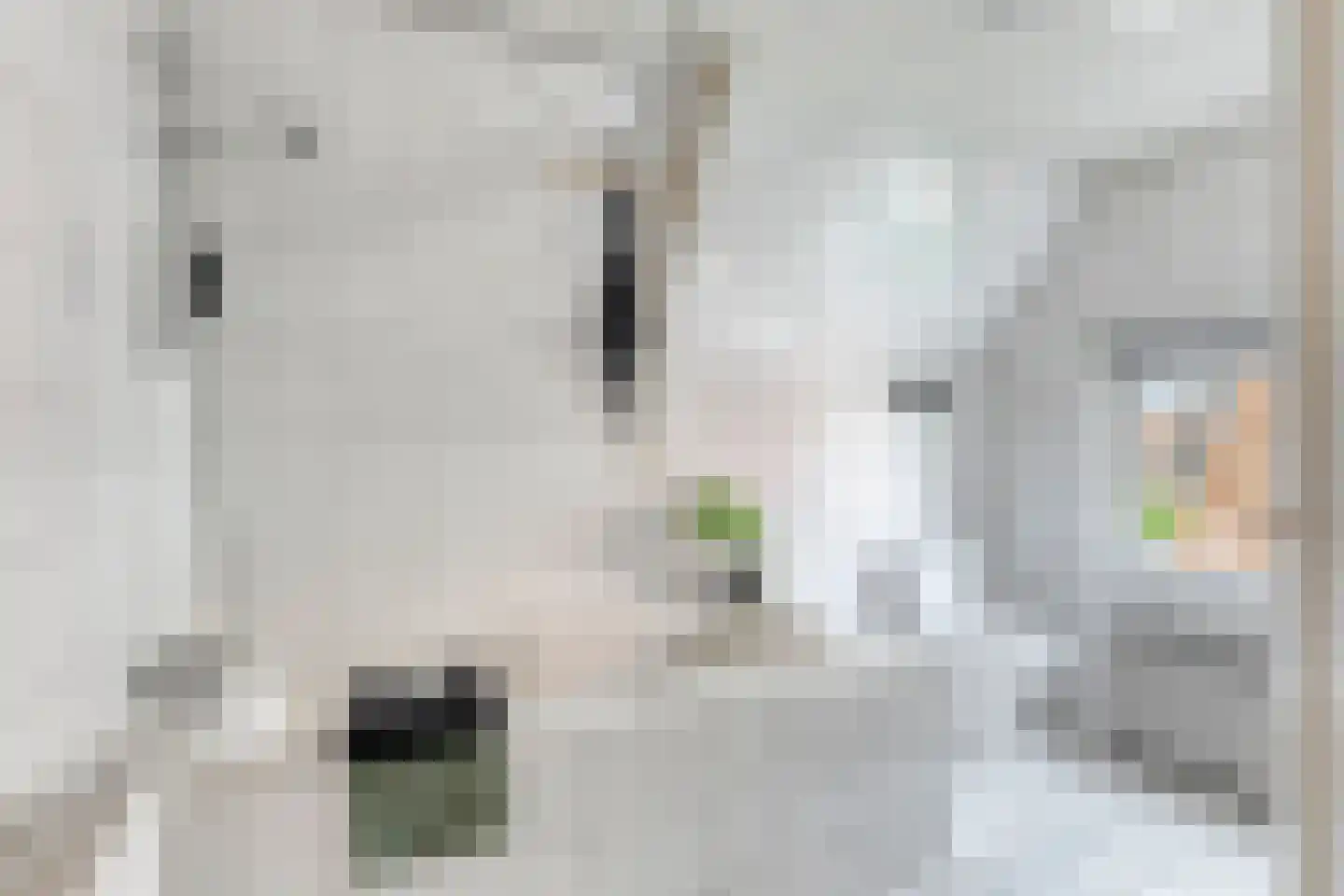 Verlengde van Beresteijnstraat 9 Veendam thumbnail 31