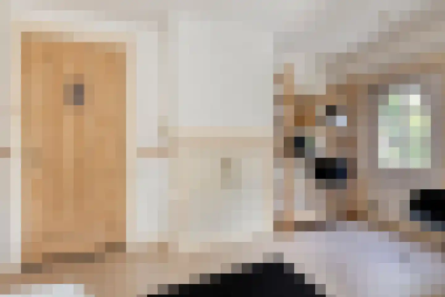 Verlengde van Beresteijnstraat 9 Veendam thumbnail 34