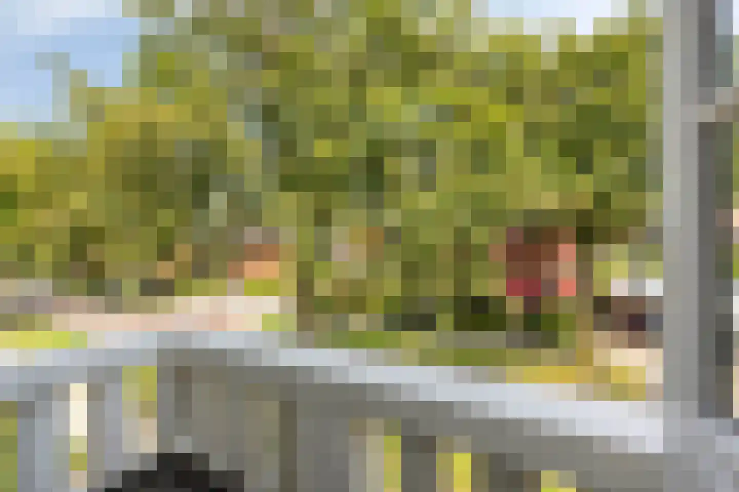 Verlengde van Beresteijnstraat 9 Veendam thumbnail 37