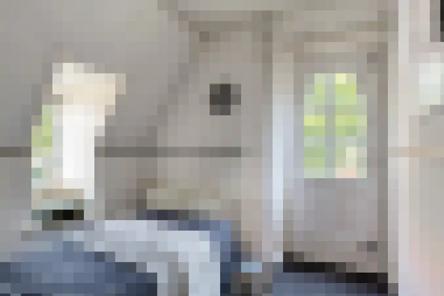 Verlengde van Beresteijnstraat 9 Veendam thumbnail 38