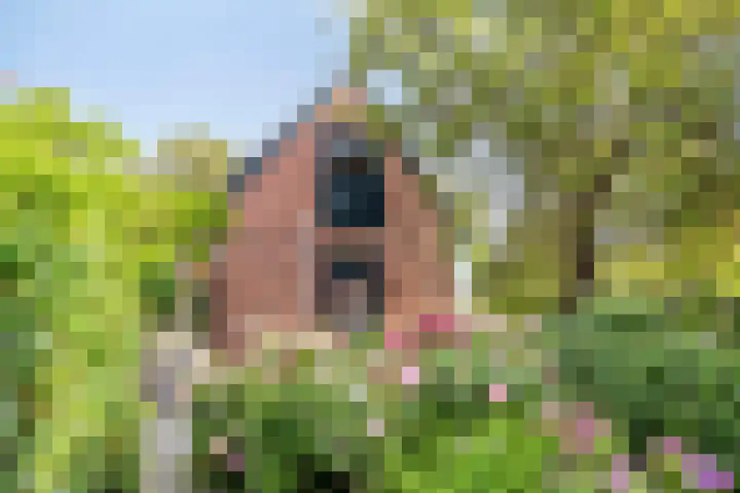 Verlengde van Beresteijnstraat 9 Veendam thumbnail 44