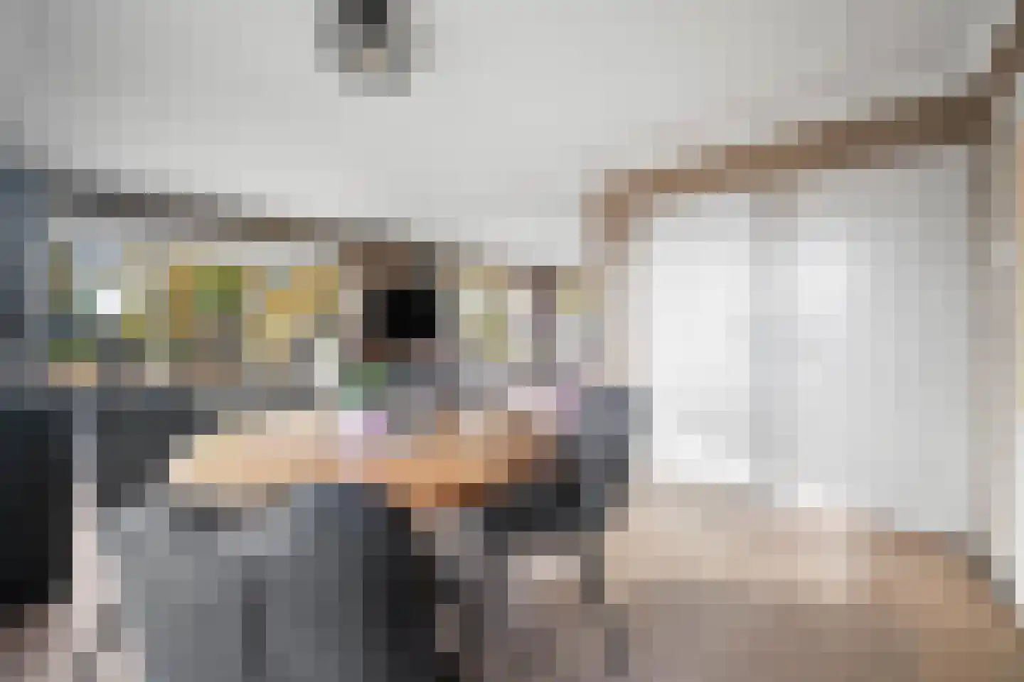 Verlengde van Echtenskanaal NZ 120 Zwartemeer thumbnail 11