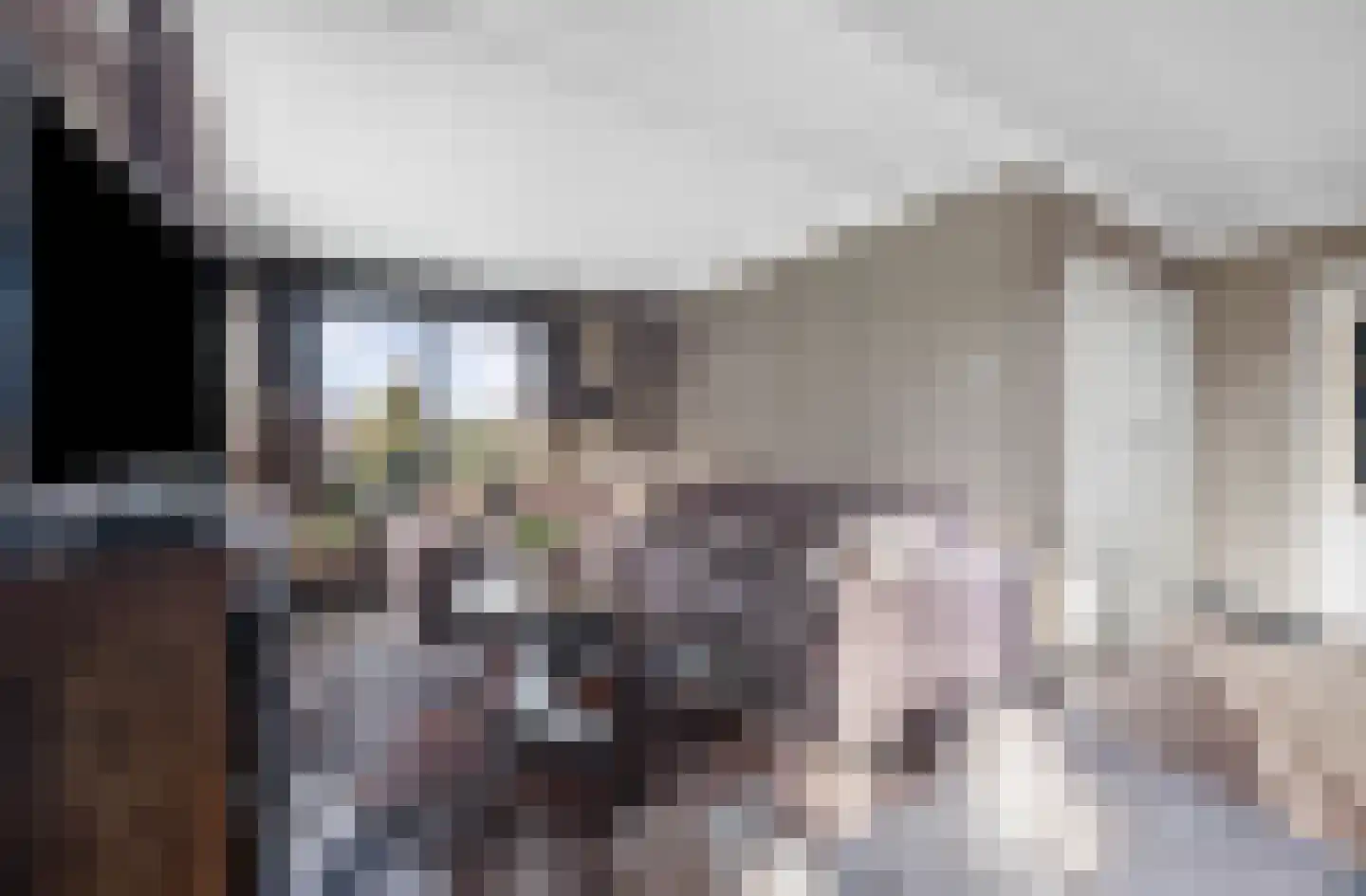 Verlengde van Echtenskanaal NZ 120 Zwartemeer thumbnail 13