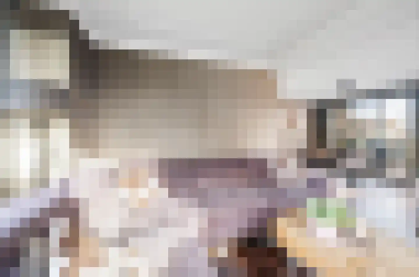 Verlengde van Echtenskanaal NZ 120 Zwartemeer thumbnail 14