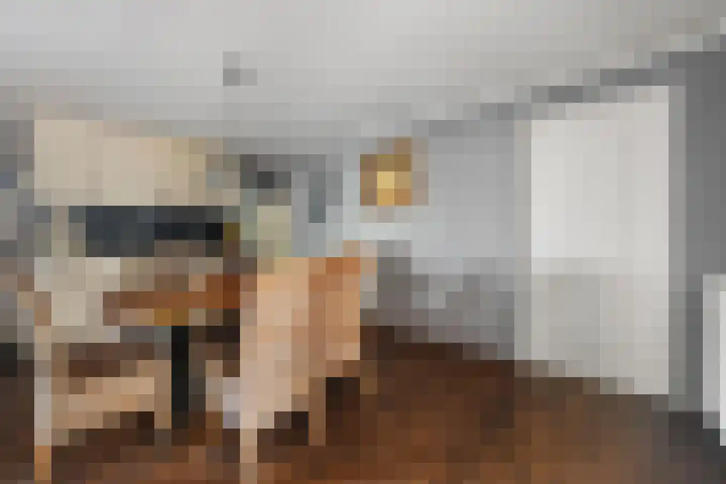 Verlengde van Echtenskanaal NZ 120 Zwartemeer thumbnail 16
