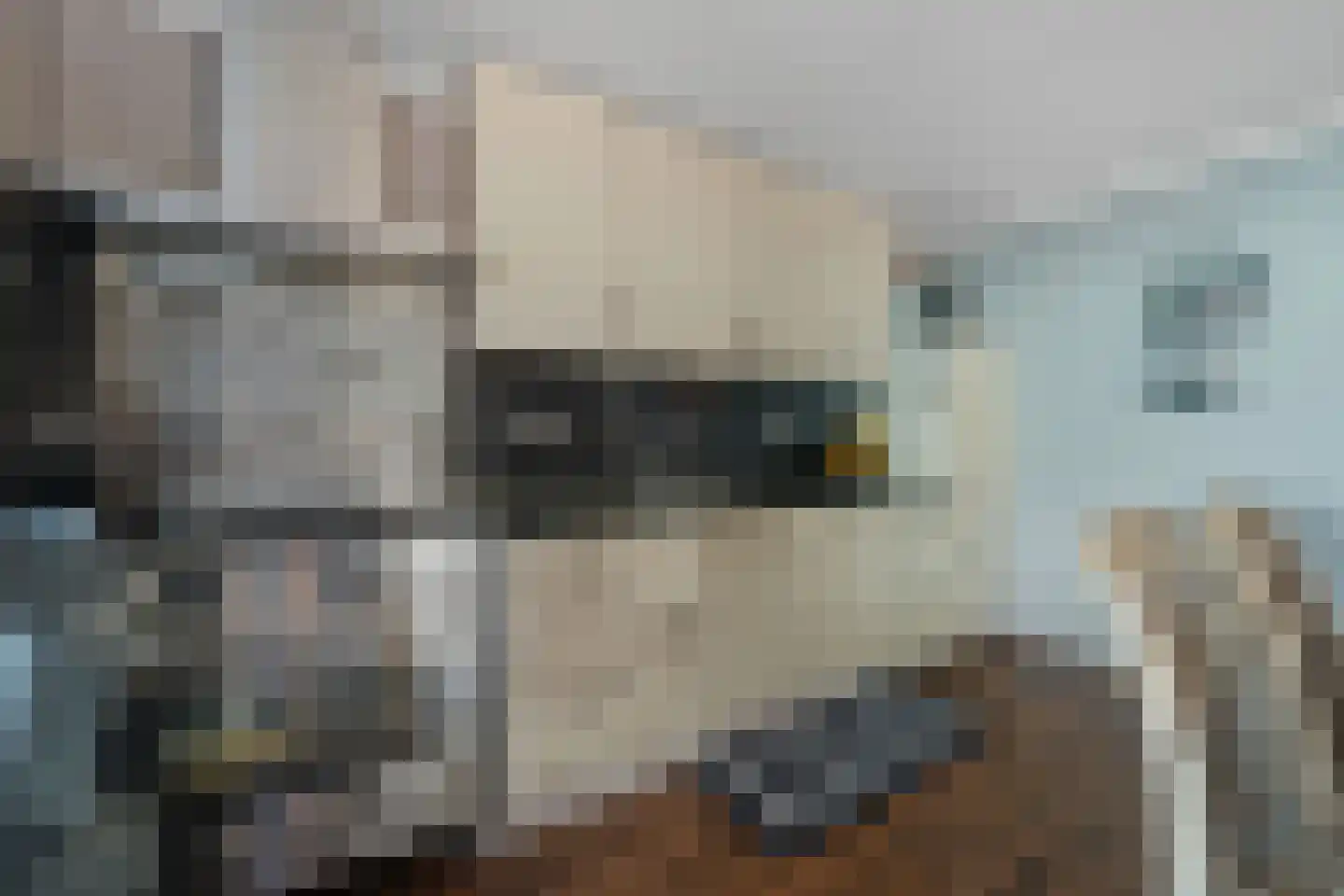 Verlengde van Echtenskanaal NZ 120 Zwartemeer thumbnail 18
