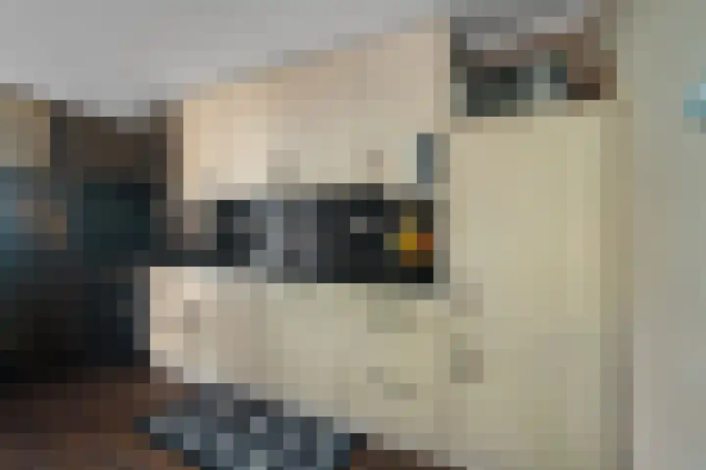 Verlengde van Echtenskanaal NZ 120 Zwartemeer thumbnail 19