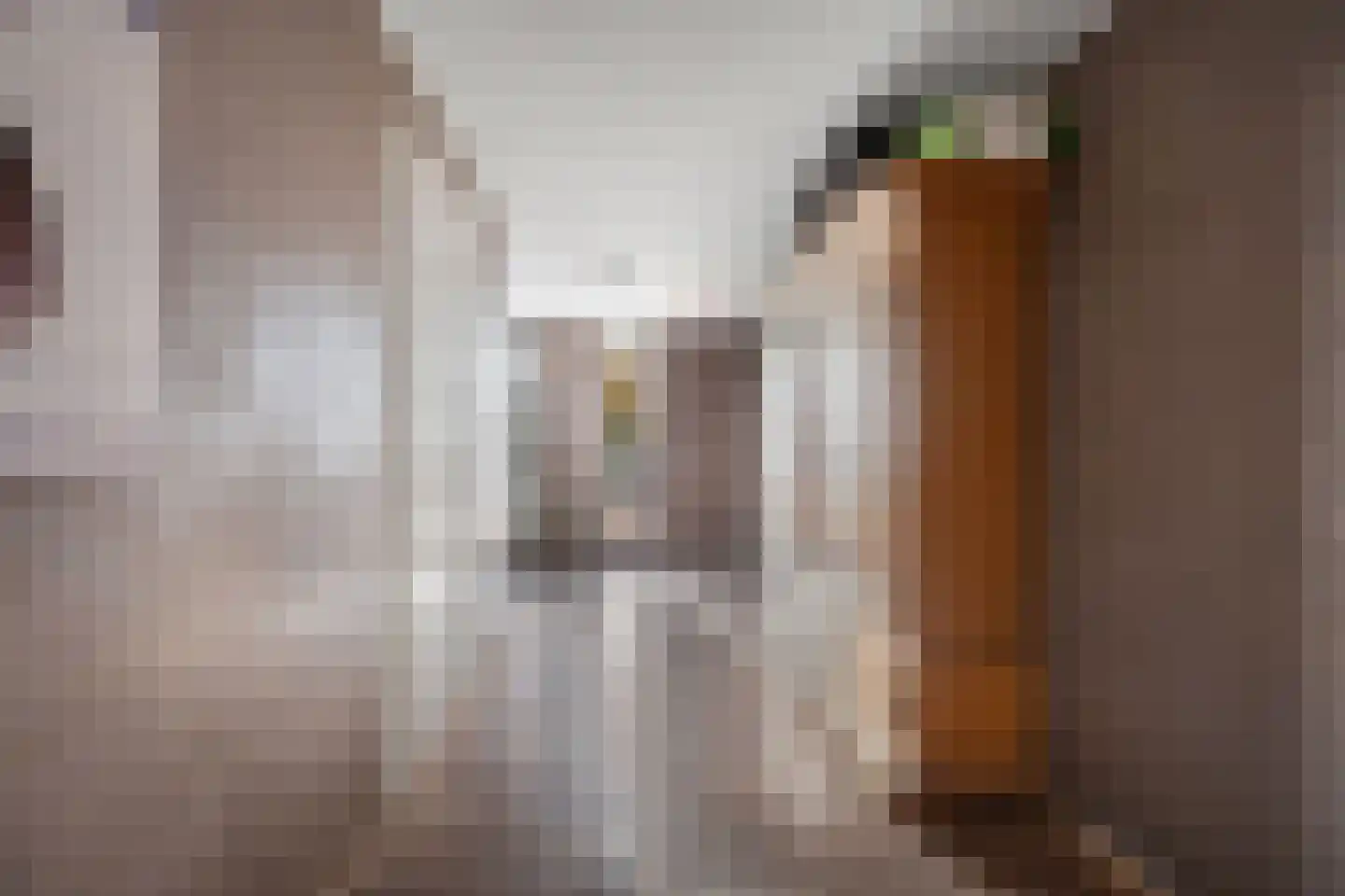 Verlengde van Echtenskanaal NZ 120 Zwartemeer thumbnail 21