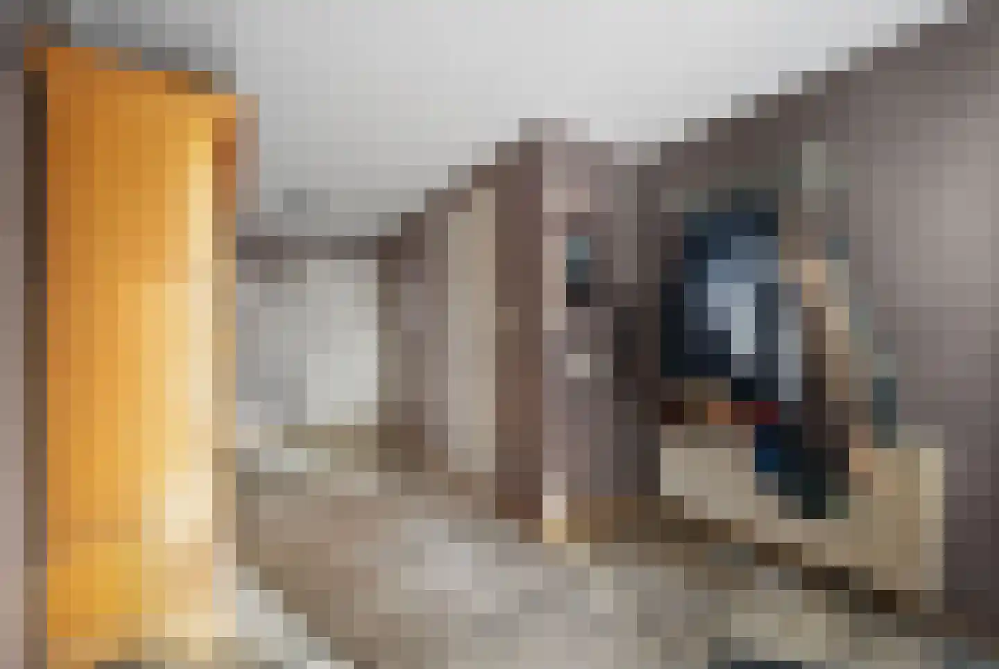 Verlengde van Echtenskanaal NZ 120 Zwartemeer thumbnail 22