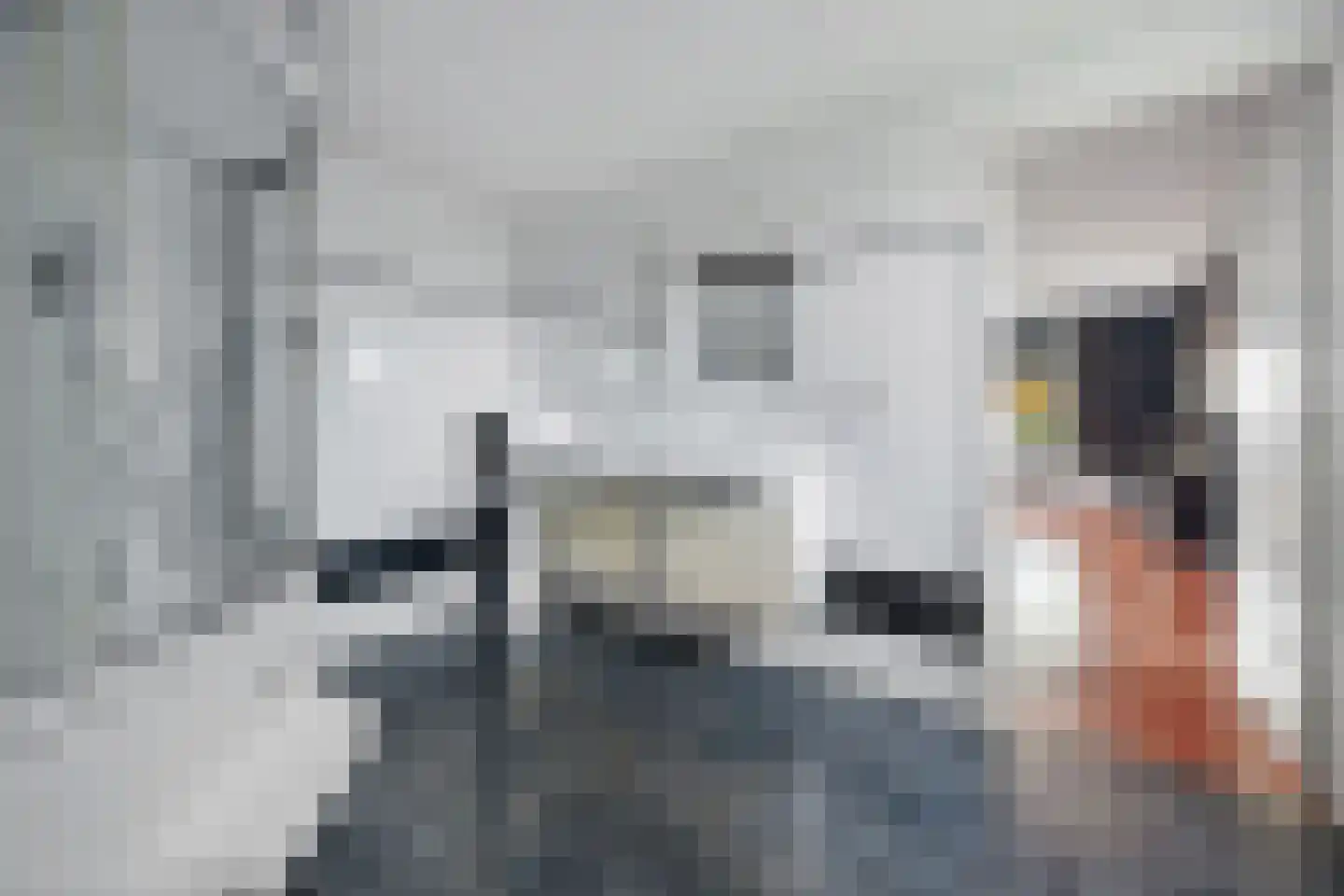 Verlengde van Echtenskanaal NZ 120 Zwartemeer thumbnail 27