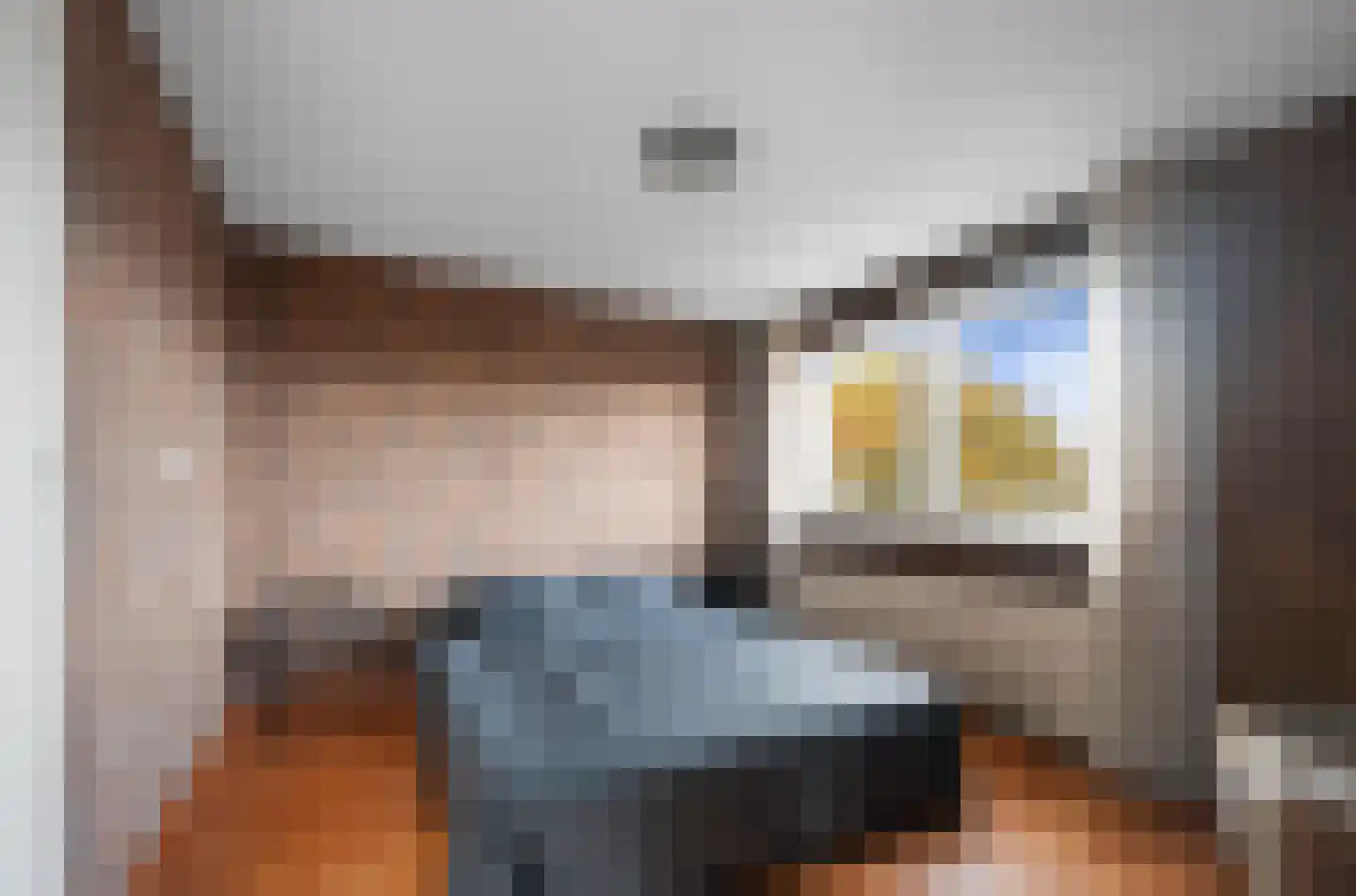 Verlengde van Echtenskanaal NZ 120 Zwartemeer thumbnail 31
