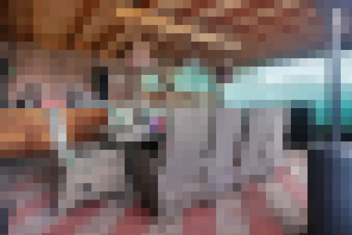 Verlengde van Echtenskanaal NZ 120 Zwartemeer thumbnail 34