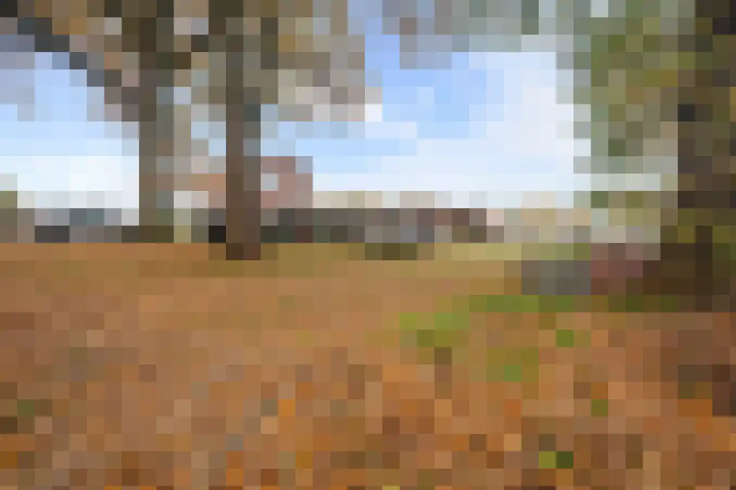 Verlengde van Echtenskanaal NZ 120 Zwartemeer thumbnail 44
