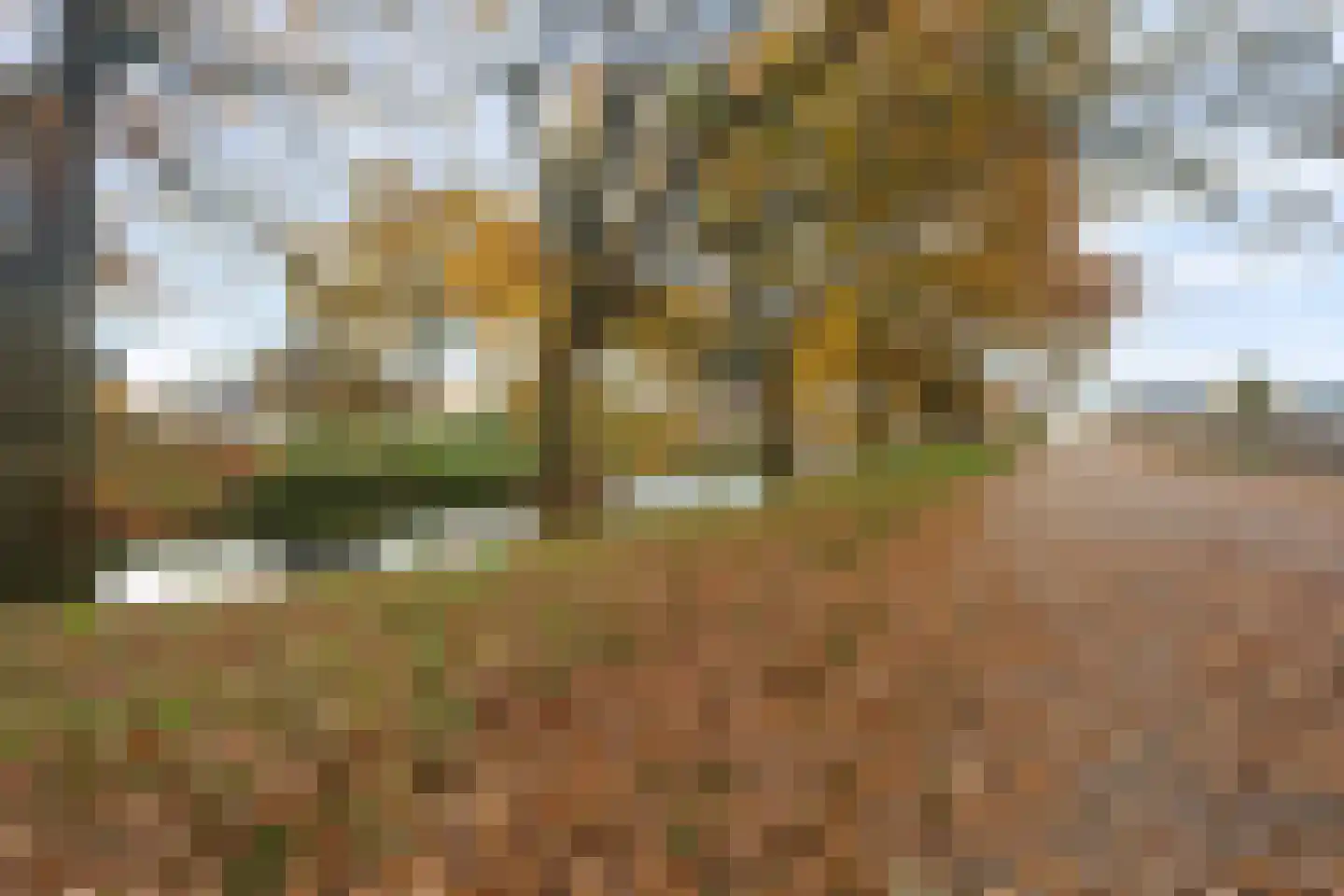 Verlengde van Echtenskanaal NZ 120 Zwartemeer thumbnail 45