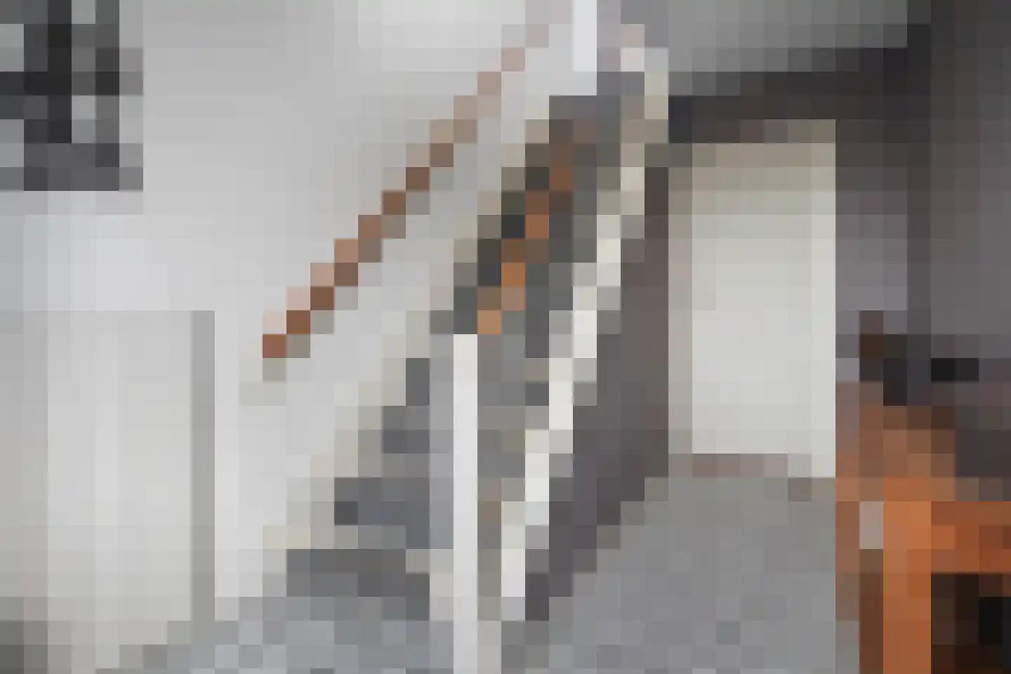 Verlengde van Echtenskanaal NZ 120 Zwartemeer thumbnail 7