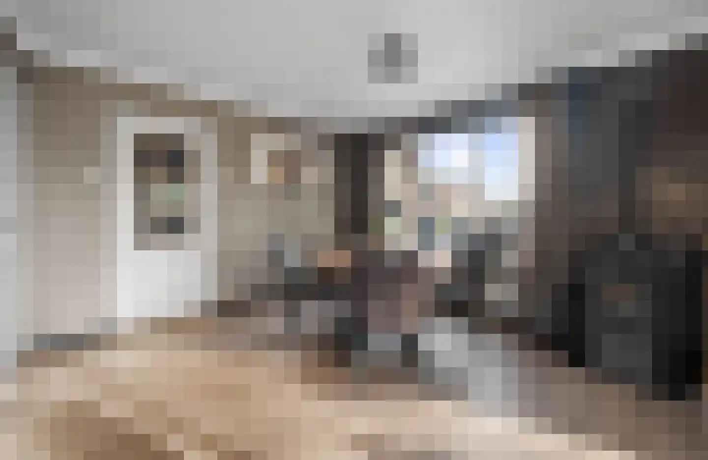 Verlengde van Echtenskanaal NZ 120 Zwartemeer thumbnail 9
