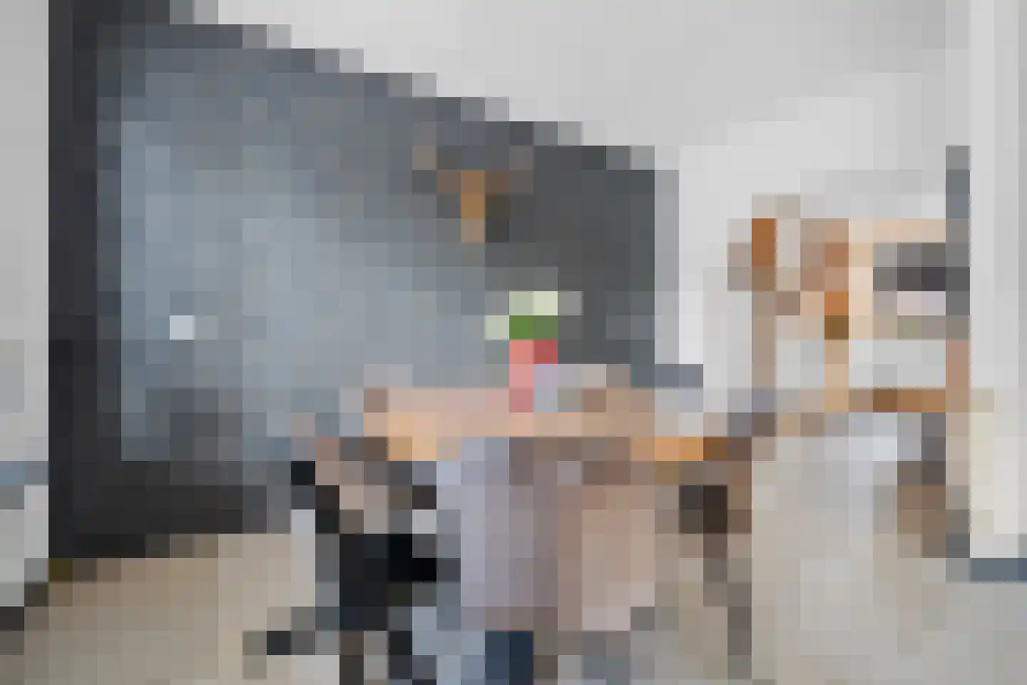 Verlengde van Echtenskanaal NZ 48 Zwartemeer thumbnail 10