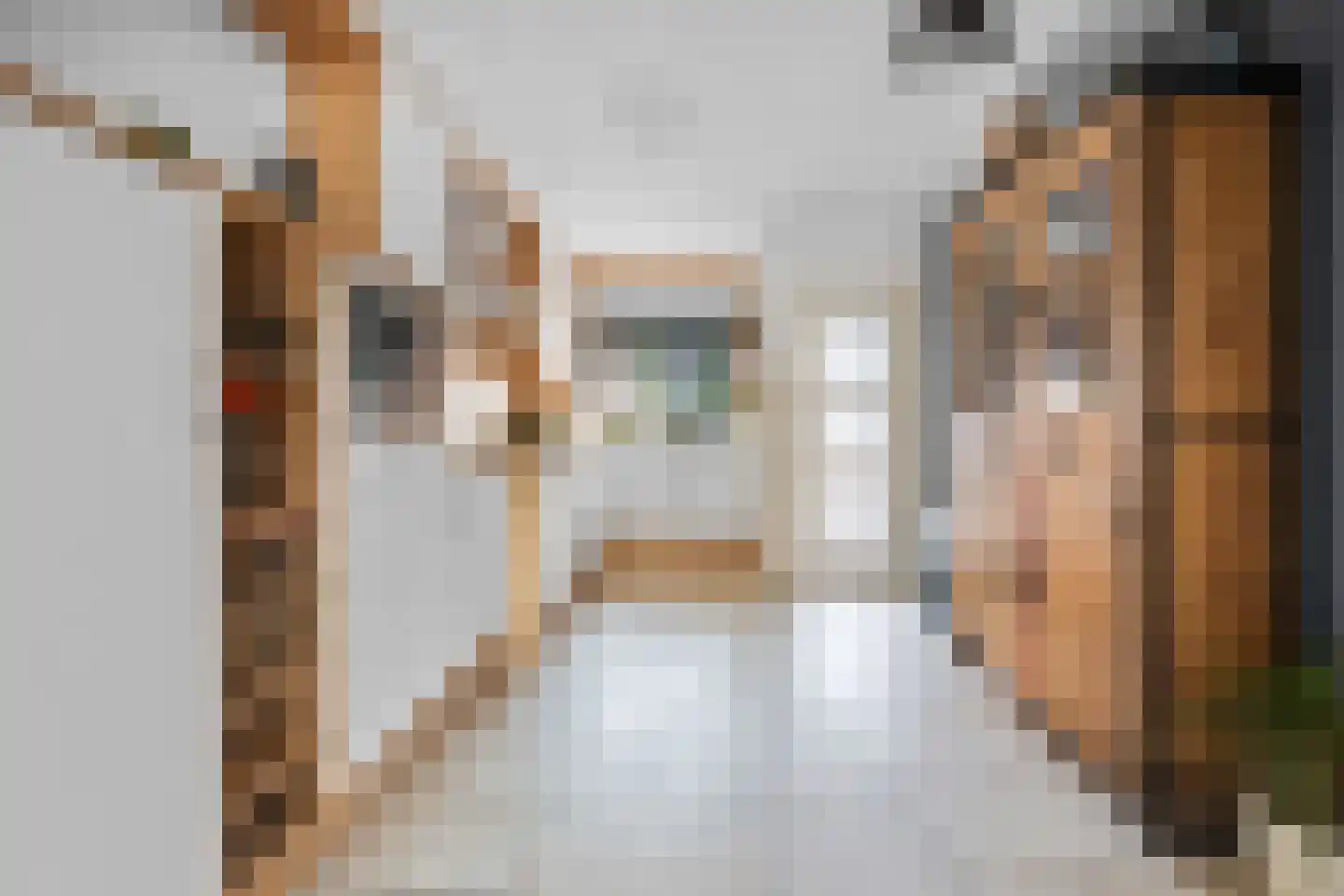 Verlengde van Echtenskanaal NZ 48 Zwartemeer thumbnail 12