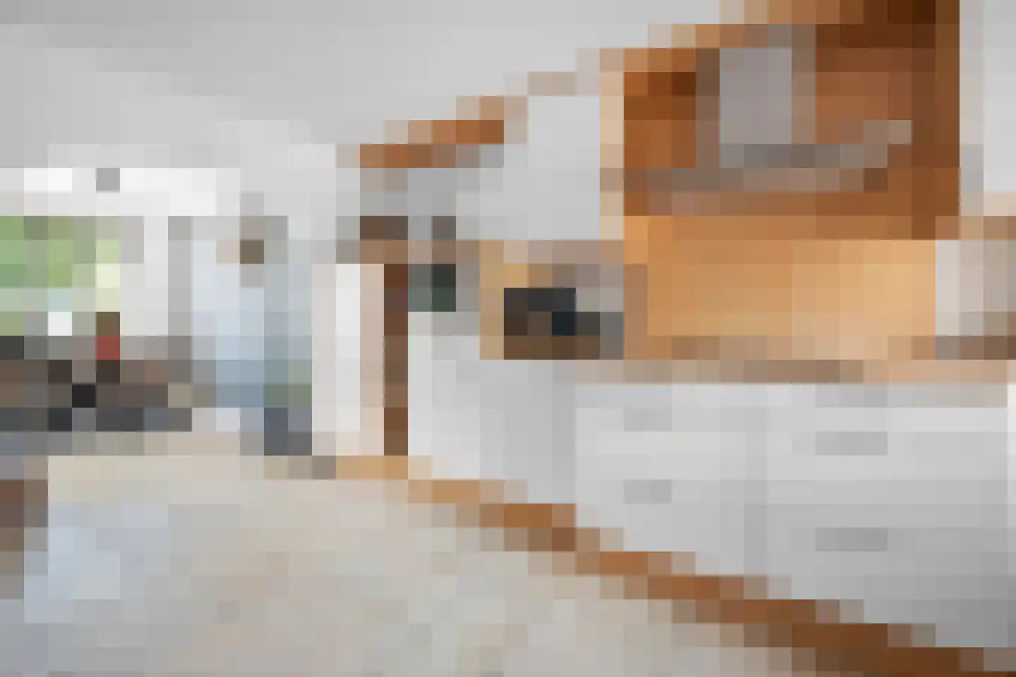 Verlengde van Echtenskanaal NZ 48 Zwartemeer thumbnail 14