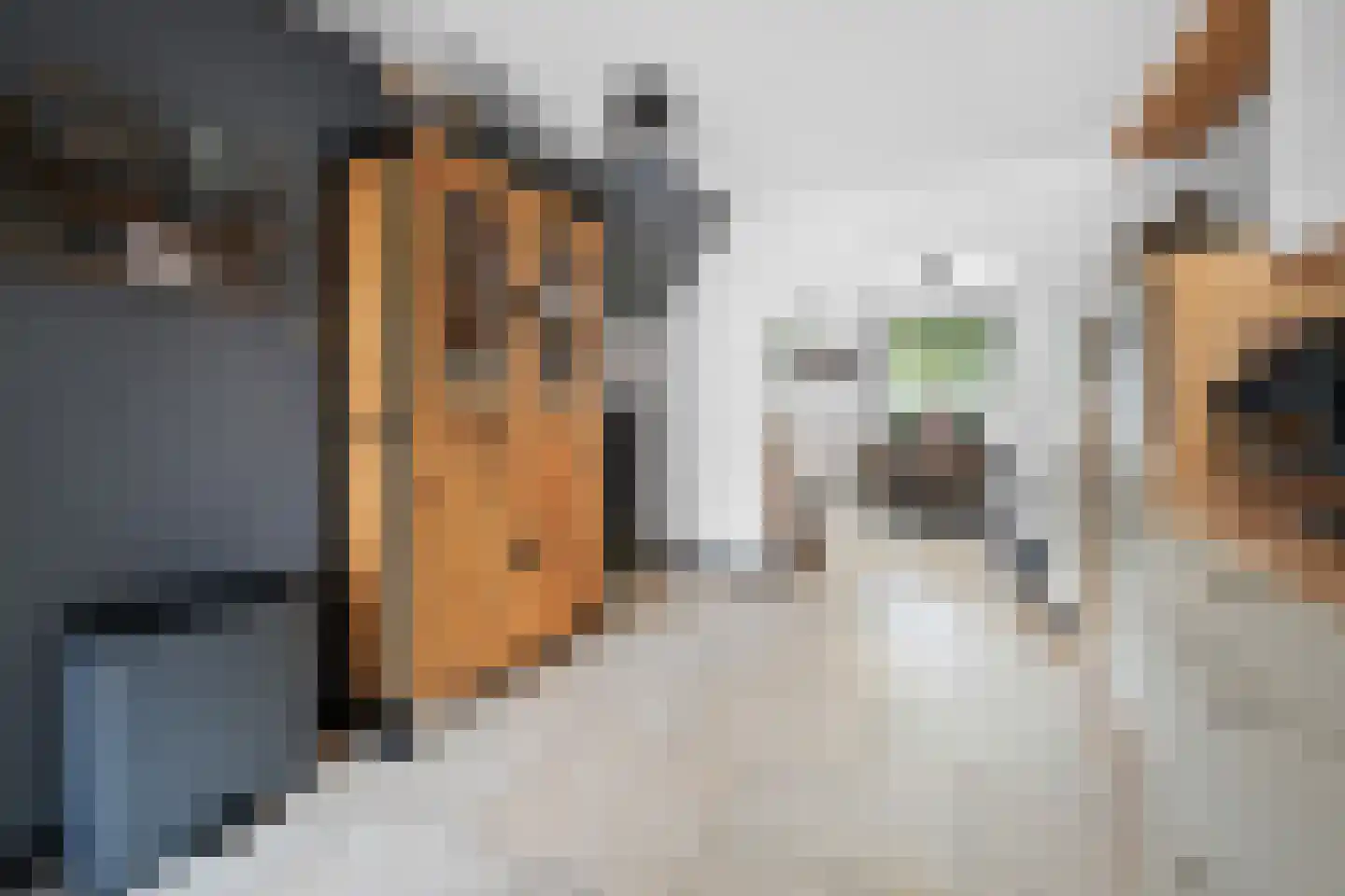 Verlengde van Echtenskanaal NZ 48 Zwartemeer thumbnail 15
