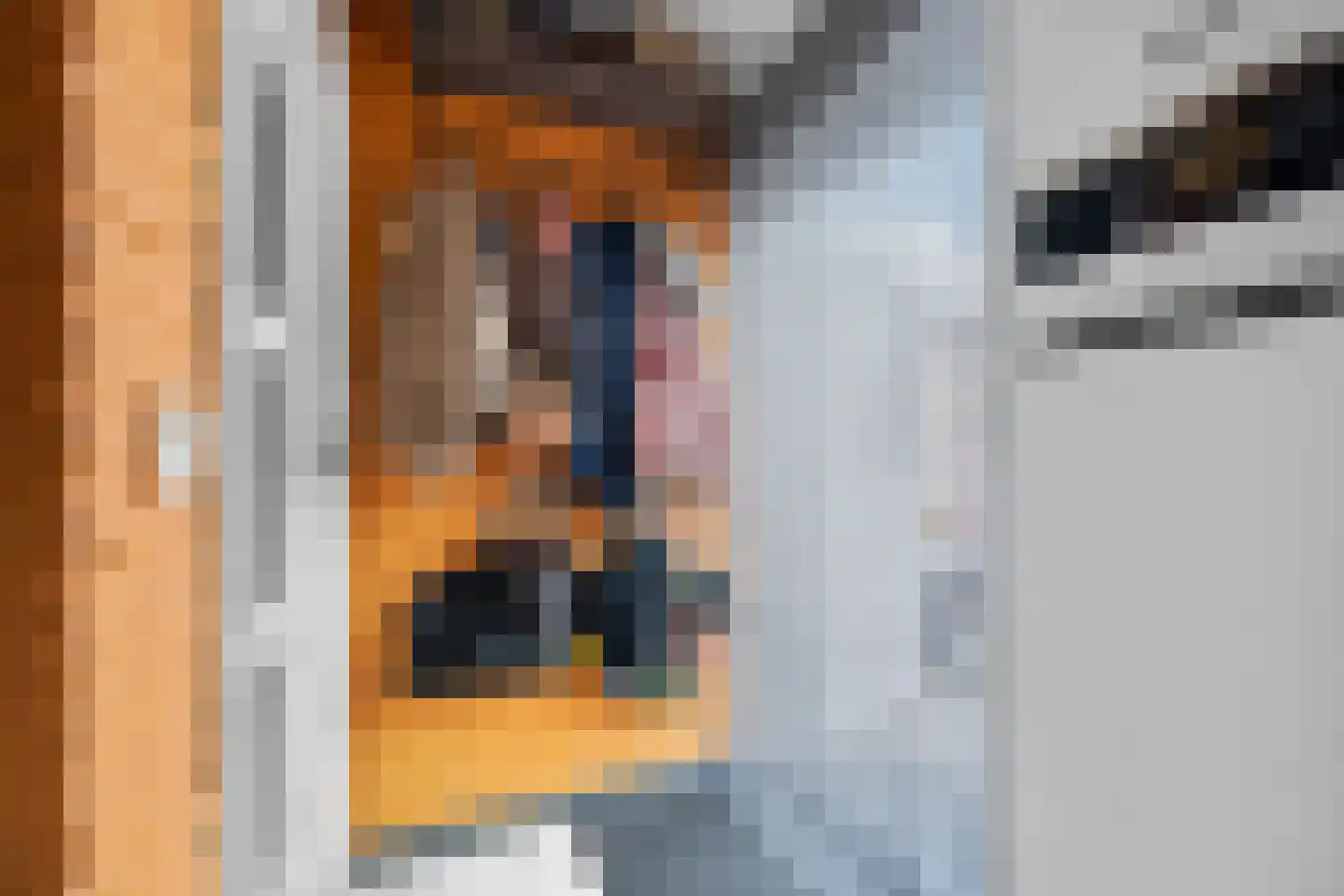 Verlengde van Echtenskanaal NZ 48 Zwartemeer thumbnail 16