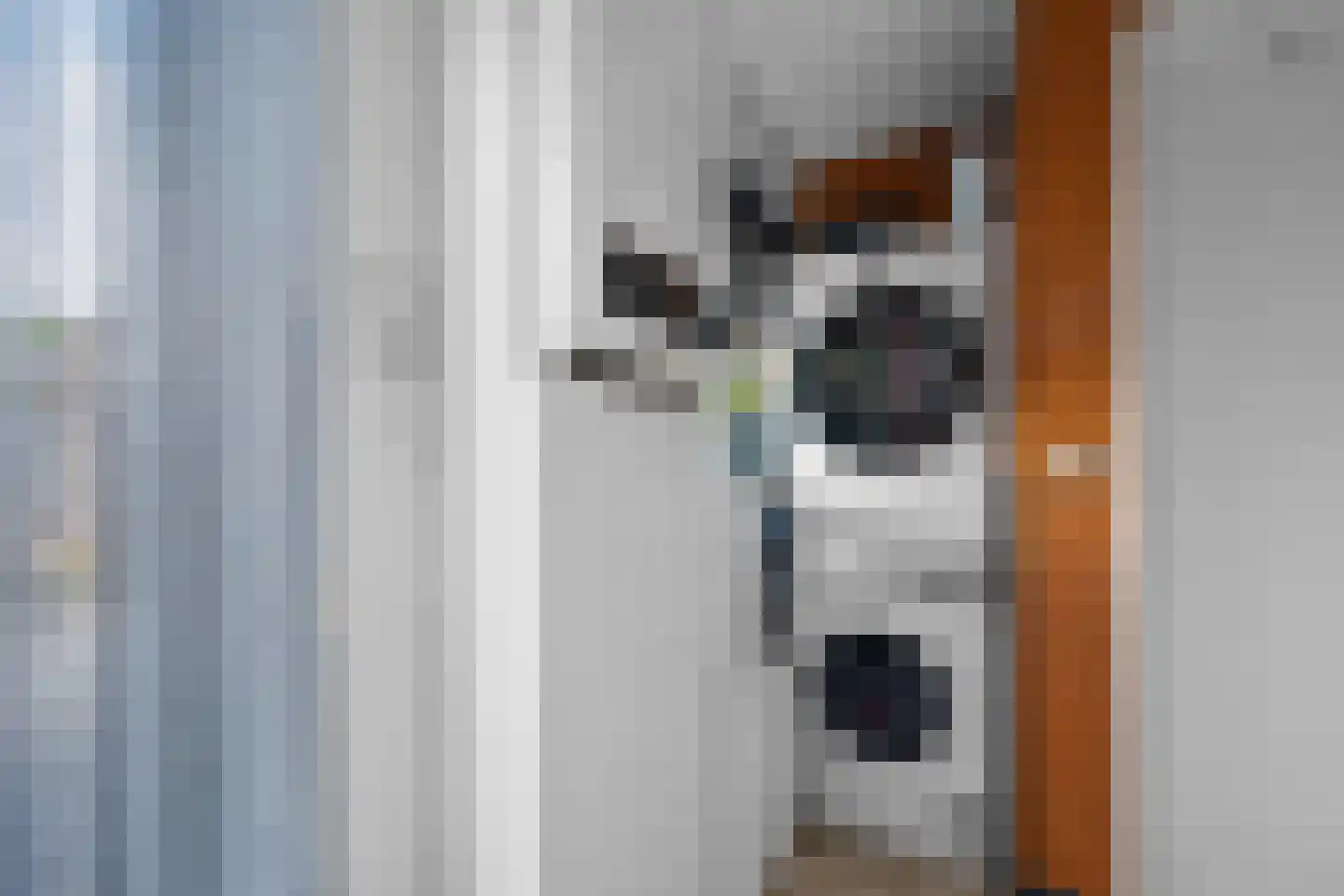 Verlengde van Echtenskanaal NZ 48 Zwartemeer thumbnail 17