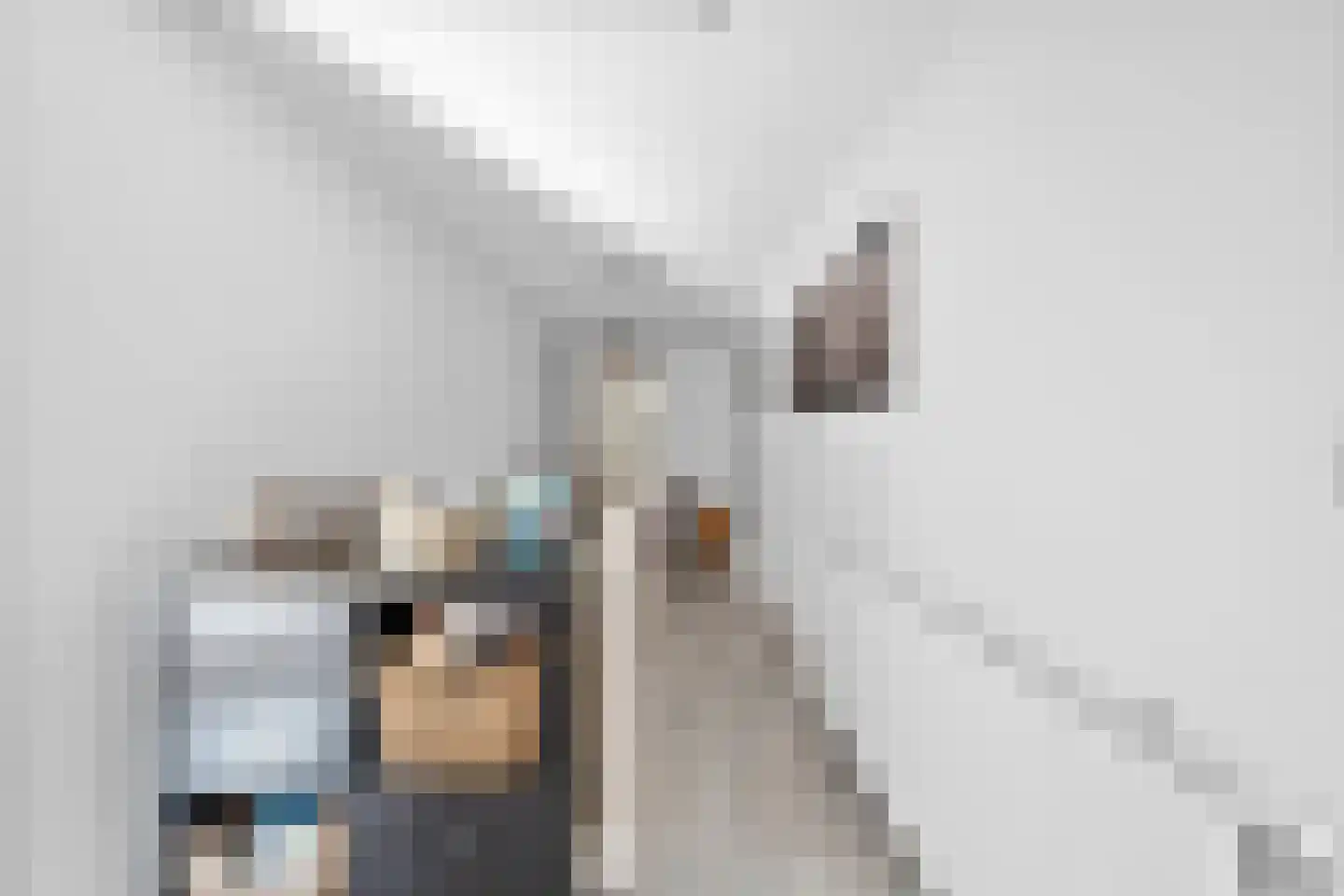 Verlengde van Echtenskanaal NZ 48 Zwartemeer thumbnail 22
