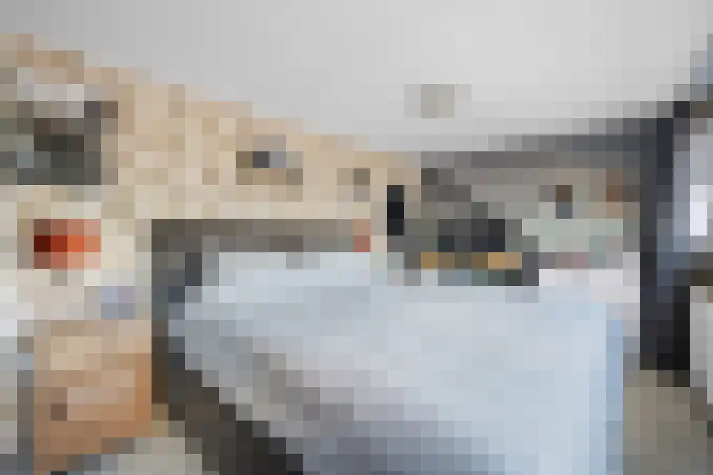 Verlengde van Echtenskanaal NZ 48 Zwartemeer thumbnail 25