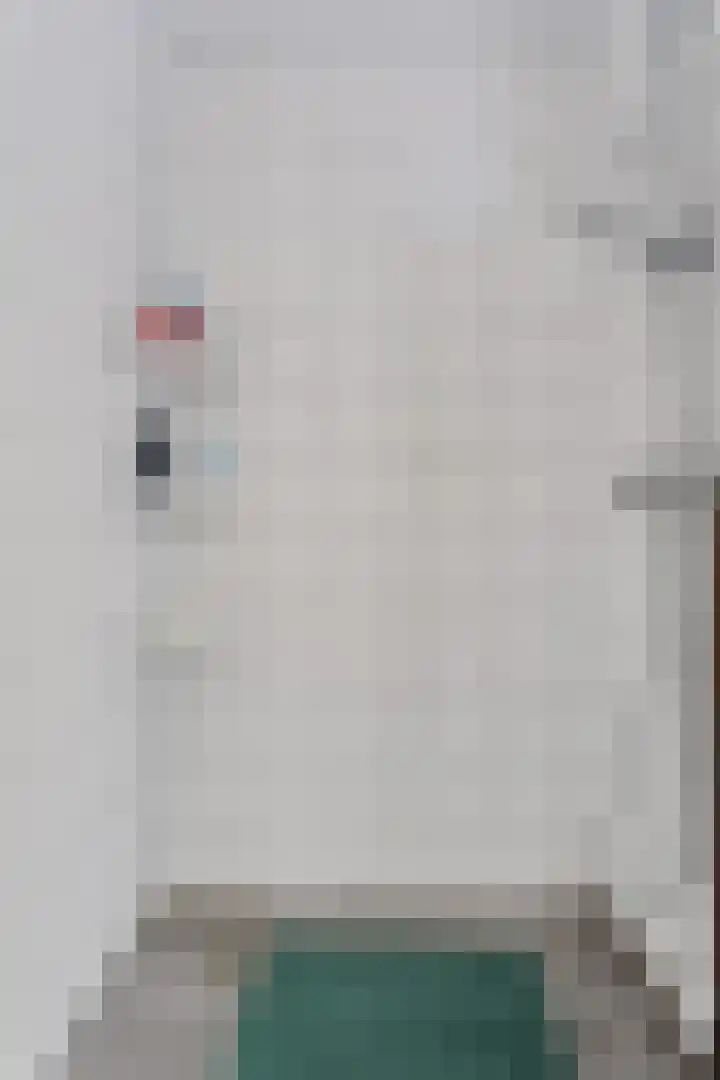 Verlengde van Echtenskanaal NZ 51 Zwartemeer thumbnail 11