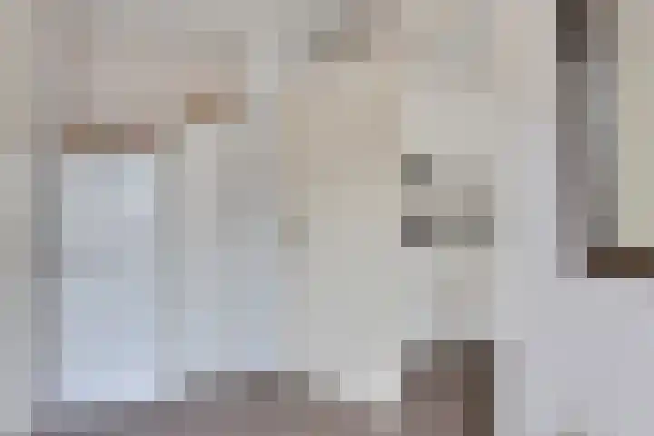 Verlengde van Echtenskanaal NZ 51 Zwartemeer thumbnail 15