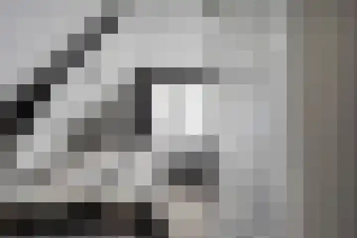 Verlengde van Echtenskanaal NZ 51 Zwartemeer thumbnail 16