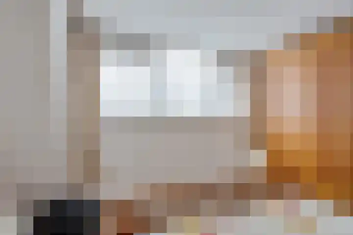 Verlengde van Echtenskanaal NZ 51 Zwartemeer thumbnail 18