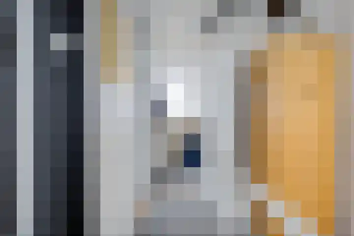 Verlengde van Echtenskanaal NZ 51 Zwartemeer thumbnail 20