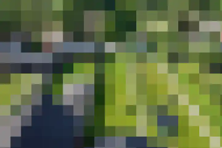Verlengde van Echtenskanaal NZ 51 Zwartemeer thumbnail 22