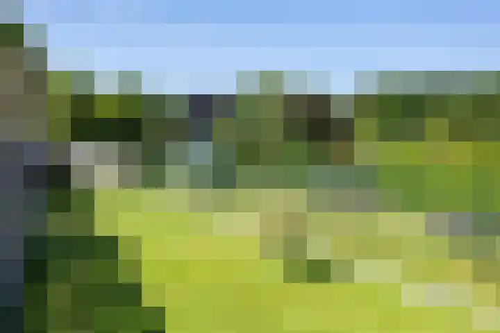 Verlengde van Echtenskanaal NZ 51 Zwartemeer thumbnail 23