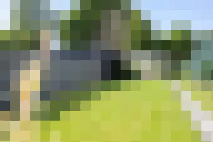 Verlengde van Echtenskanaal NZ 51 Zwartemeer thumbnail 24
