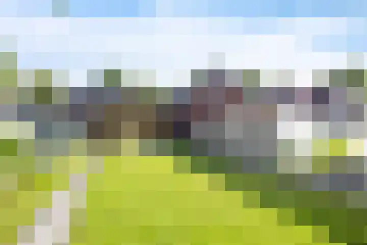 Verlengde van Echtenskanaal NZ 51 Zwartemeer thumbnail 25