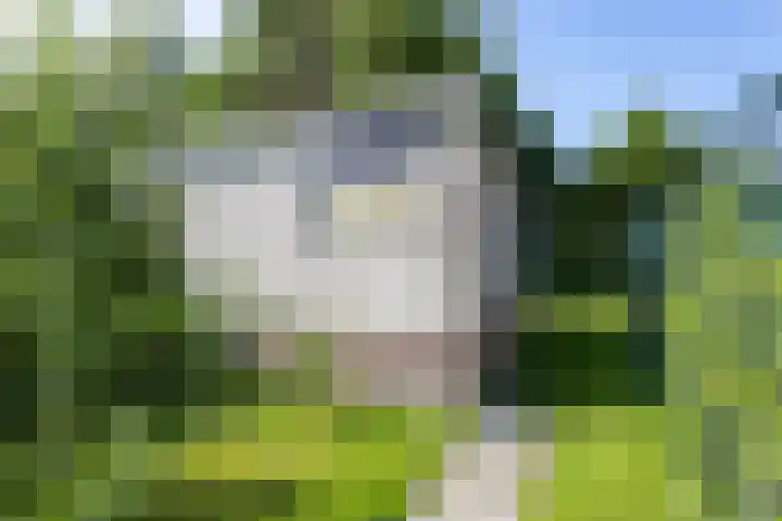 Verlengde van Echtenskanaal NZ 51 Zwartemeer thumbnail 26