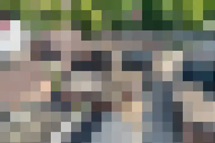 Verlengde van Echtenskanaal NZ 51 Zwartemeer thumbnail 29