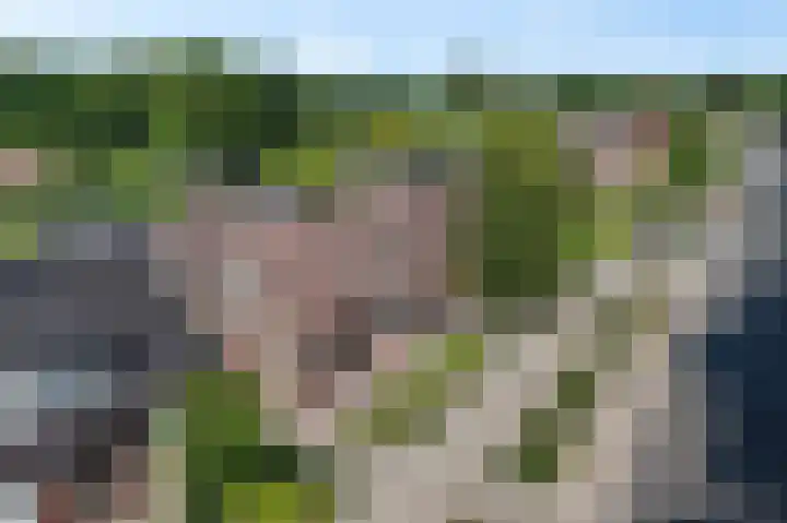 Verlengde van Echtenskanaal NZ 51 Zwartemeer thumbnail 30