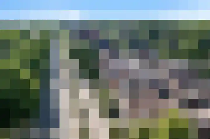 Verlengde van Echtenskanaal NZ 51 Zwartemeer thumbnail 33