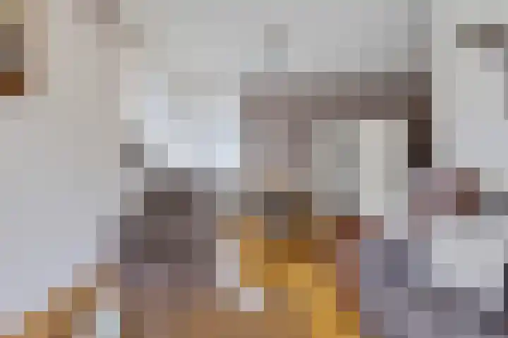 Verlengde van Echtenskanaal NZ 51 Zwartemeer thumbnail 6