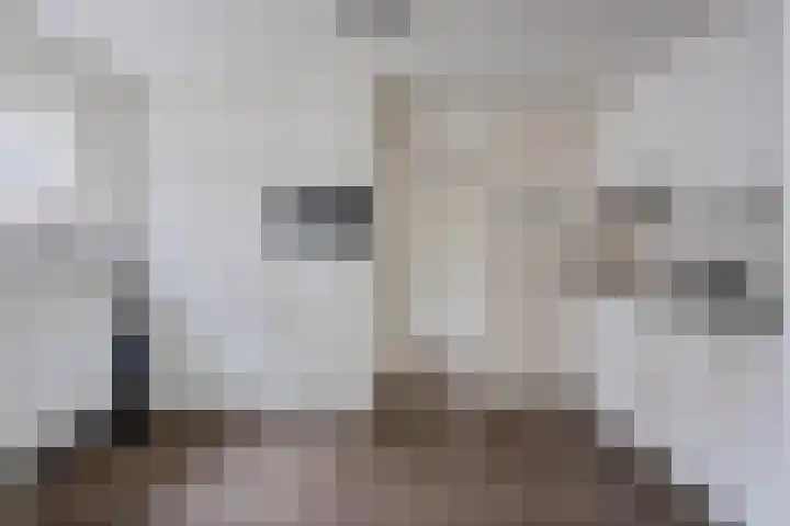 Verlengde van Echtenskanaal NZ 51 Zwartemeer thumbnail 8