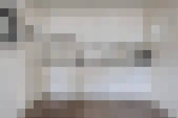 Verlengde van Echtenskanaal NZ 51 Zwartemeer thumbnail 9