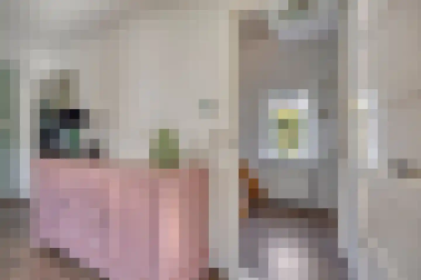 Verlengde van Echtenskanaal NZ 68 Zwartemeer thumbnail 13
