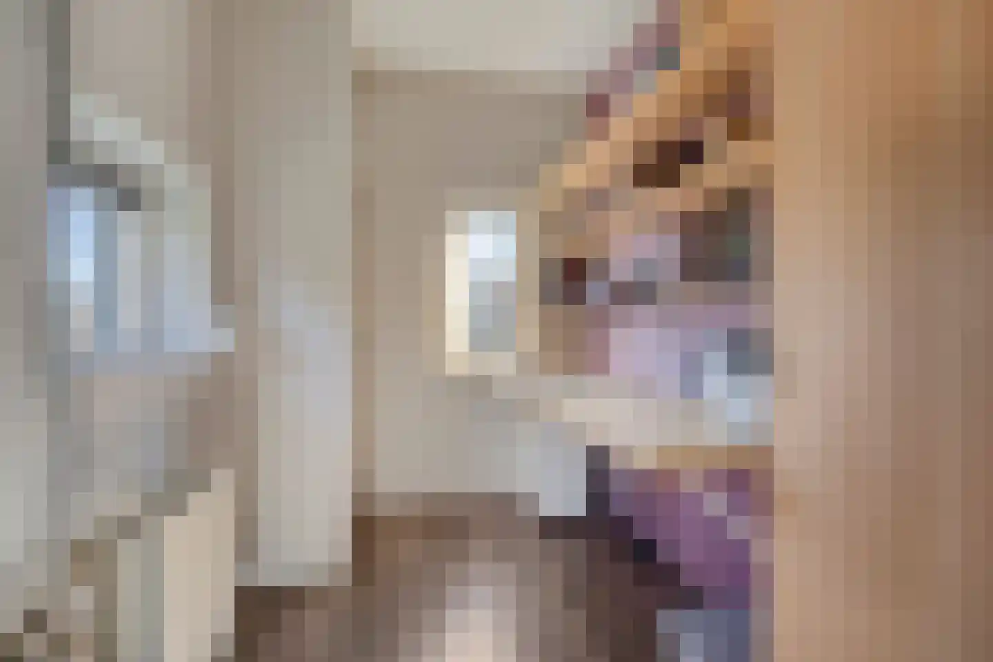 Verlengde van Echtenskanaal NZ 68 Zwartemeer thumbnail 14